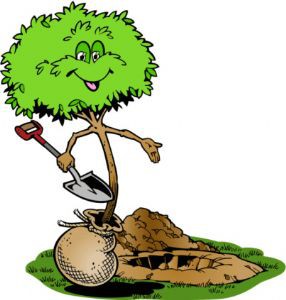 Distribution d'arbres